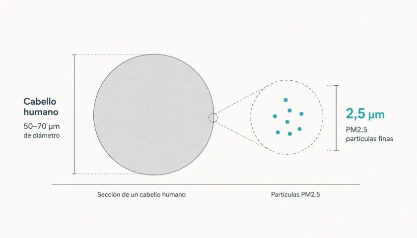 Comparación: un cabello humano (50-70 μm) y partículas PM2.5 (2,5 μm). Las partículas finas PM2.5 son diminutas.