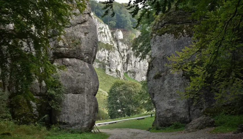 Wąwóz w Ojcowski Park Narodowy, zdominowany przez potężne skały wapienne i bujną zieleń.