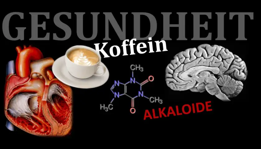 Herz, Gehirn und Kaffeetasse: Wie Koffein auf unseren Körper wirkt. Die chemische Formel zeigt, wie Koffein ziehen kann.