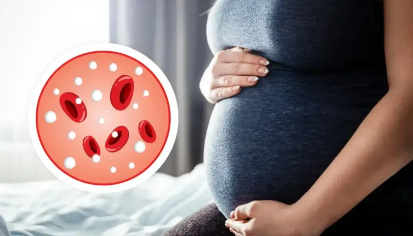 Ciąża i obraz mikroskopowy z widocznymi czerwonymi krwinkami i białymi kropkami, sugerującymi leukocyty podwyższone.
