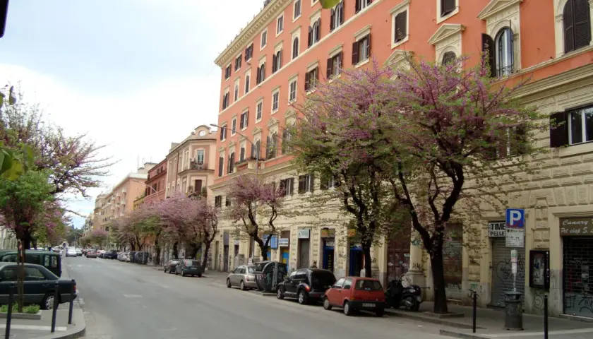 Strada alberata con fiori rosa a San Lorenzo, Roma. Edifici color pesca e negozi. Cosa vedere a San Lorenzo Roma in primavera.