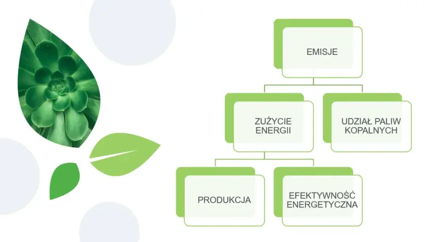 Jak emisja CO2 w g/km wpływa na środowisko i jak ją skutecznie zmniejszyć?