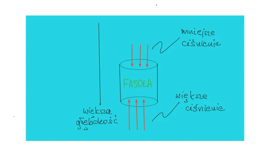 Ilustracja pokazuje cylinder z napisem "FASOLA", na który działają siły spójności. Strzałki wskazują na mniejsze ciśnienie u góry i większe u dołu, co symbolizuje większą głębokość.