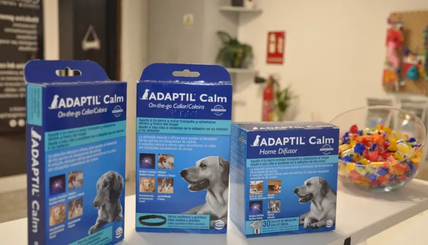 Cajas de ADAPTIL Calm, difusor y collar, para calmar la ansiedad de perros. Feromonas para perros ansiedad.