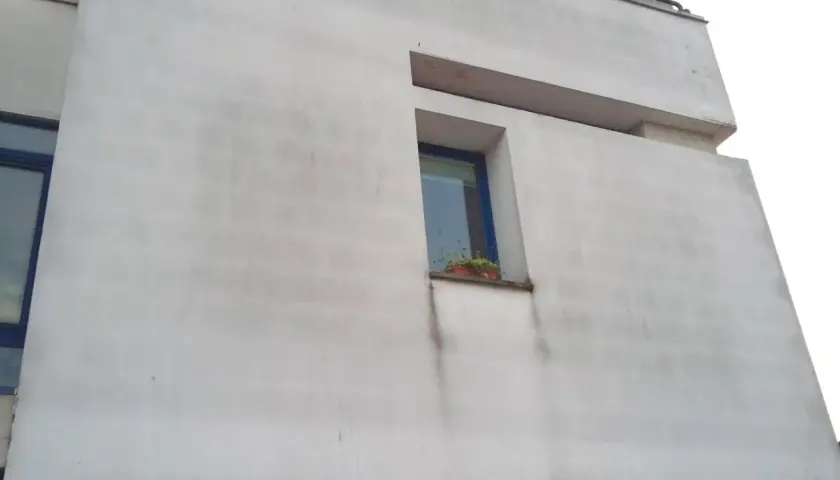 Facciata di un edificio moderno con intonaco grigio, una piccola finestra con piante e segni di umidità, forse dovuti a viti per cappotto non ben sigillate.