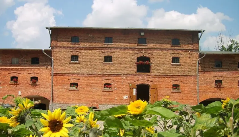 Mniszki Skansen: Odkryj zanikające rzemiosła i lokalną historię