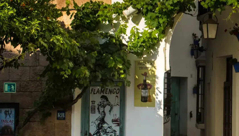 Tablao de Carmen Barcelona: la guía completa del flamenco auténtico en Poble Espanyol
