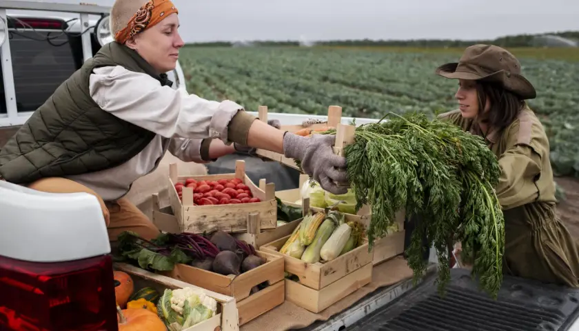Dlaczego tradycyjne metody produkcji żywności ponownie zyskują na znaczeniu