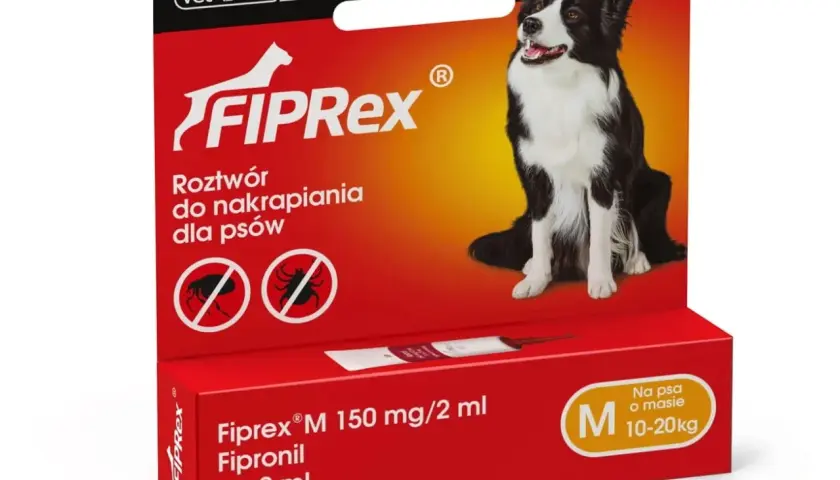 Bezpieczne krople na kleszcze dla szczeniaka: Od kiedy? Wiek, waga