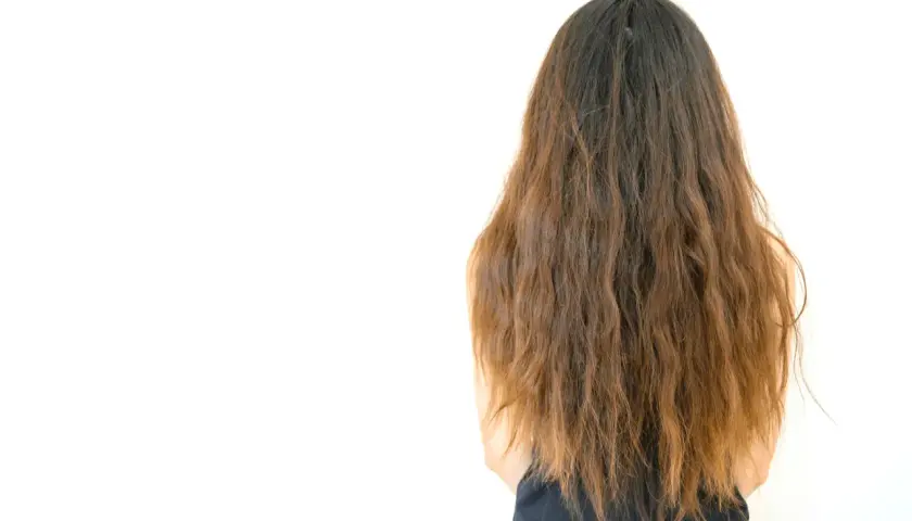 Cabello largo y castaño, con puntas secas. Descubre cómo hidratar el pelo para un aspecto saludable y brillante.