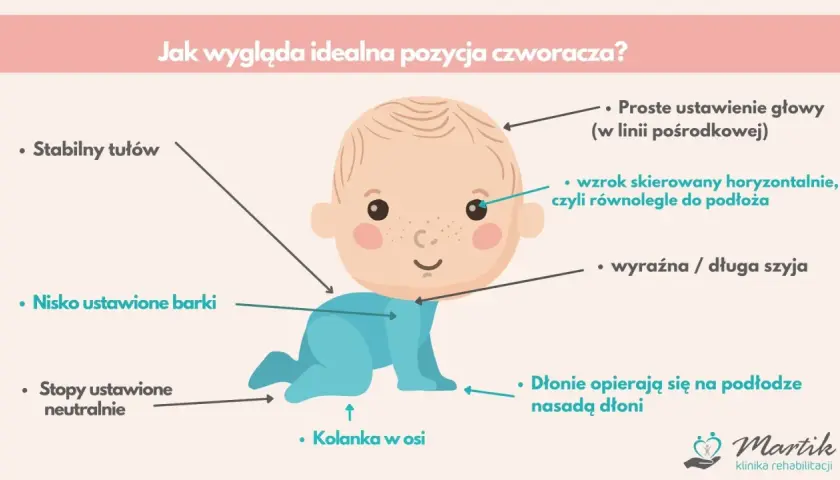 Idealna pozycja czworakowania: stabilny tułów, nisko barki, stopy neutralnie, kolanka w osi, głowa prosto, wzrok poziomo, szyja wyraźna.