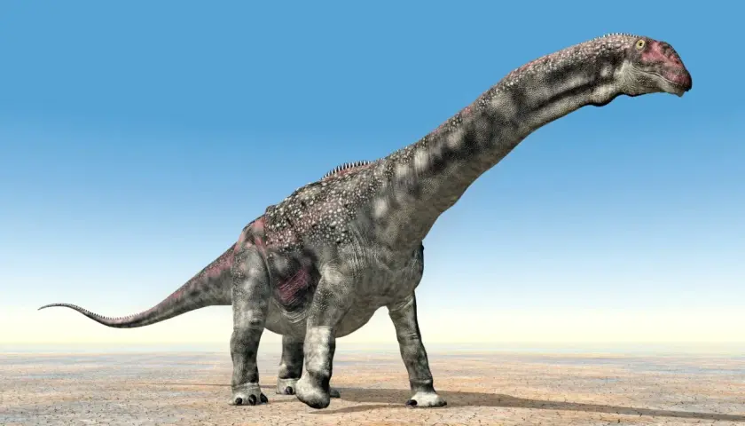 Długoszyi dinozaur roślinożerny, o szarej skórze z różowymi plamami, kroczy po spękanej ziemi pod błękitnym niebem.
