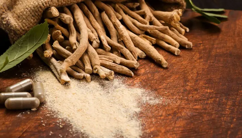 Racines d'ashwagandha dans un sac en toile, poudre et gélules. Attention à l'ashwagandha danger potentiel.