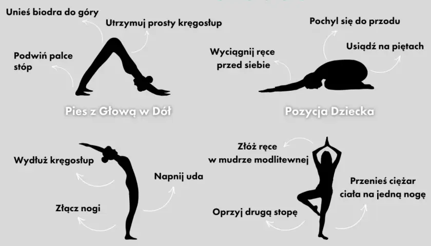 Ilustracja pokazuje podstawowe asany jogi: Pies z Głową w Dół, Pozycja Dziecka, Pozycja Góry i Pozycja Drzewa.