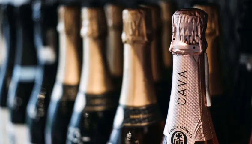 Reihe von Flaschen mit Cava Sekt, die auf eine Feier warten.