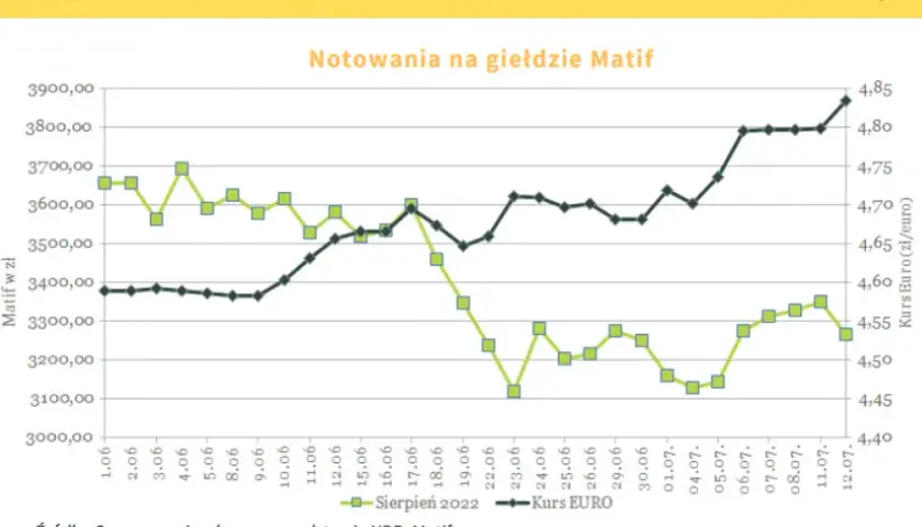 Rzepak w skupie 2026: Jak uzyskać najlepszą cenę?