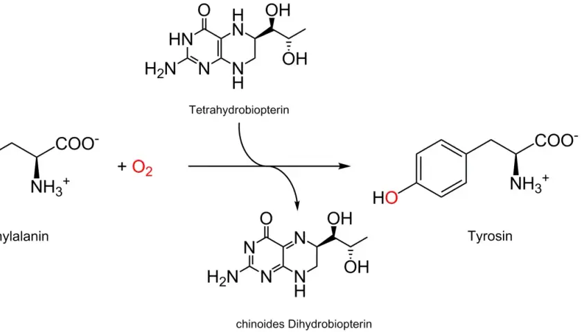 Umwandlung von Phenylalanin zu Tyrosin mit Sauerstoff und Tetrahydrobiopterin als Cofaktor.