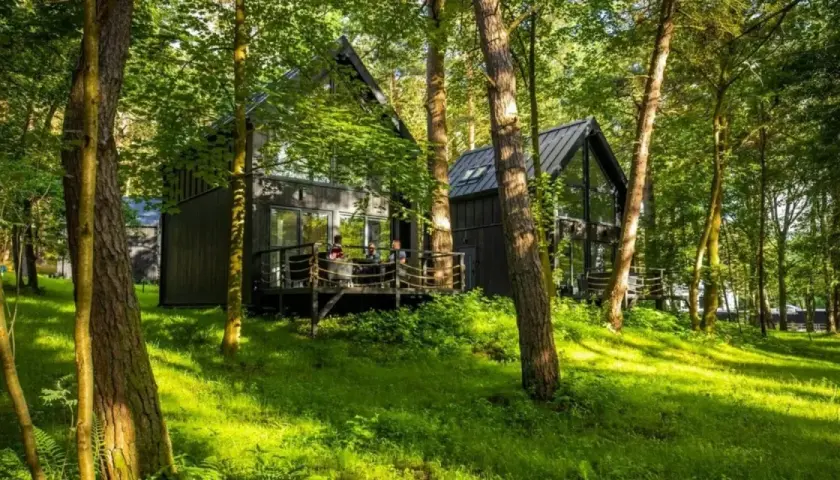 Nowoczesny hotel w lesie, z drewnianymi domkami i tarasem, otoczony zielenią.