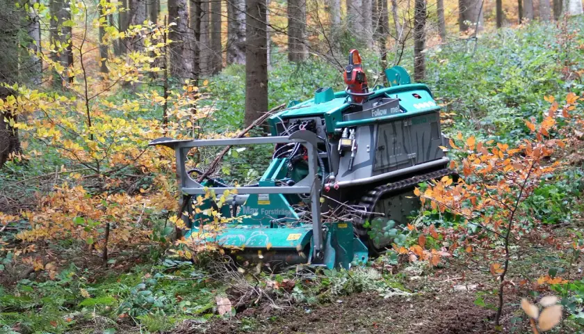 Grüne Forstmaschine mit Rückezange im Herbstwald, bereit für die Arbeit.