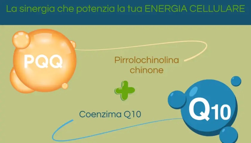 PQQ (Pirrolochinolina chinone) e Coenzima Q10: la sinergia che potenzia la tua energia cellulare.