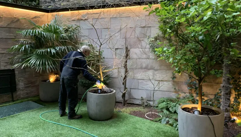 Un homme arrose un petit jardin moderne avec une pelouse artificielle et des plantes en pots.