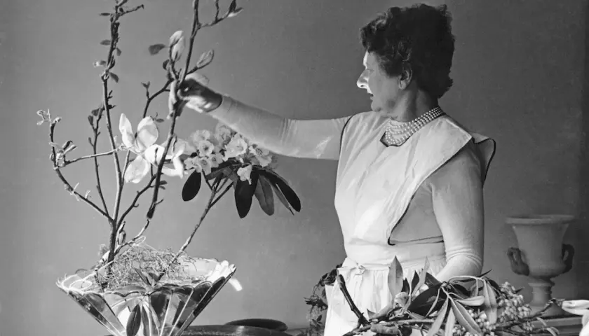 Constance Spry, en pionjär inom blomsterkonst, arrangerar magnoliagrenar och rhododendron i en elegant vas.