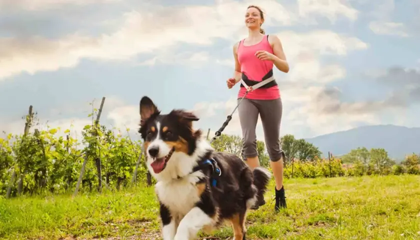 Mujer corriendo con su perro en un campo verde. La actividad física y la estimulación mental para perros son clave para su bienestar.