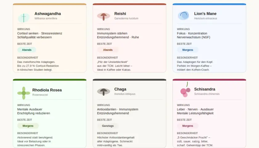 Vergleich der 6 wichtigsten Adaptogene: Ashwagandha, Reishi, Lion's Mane, Rhodiola Rosea, Chaga, Schisandra. Eine adaptogene Liste für verschiedene Bedürfnisse.