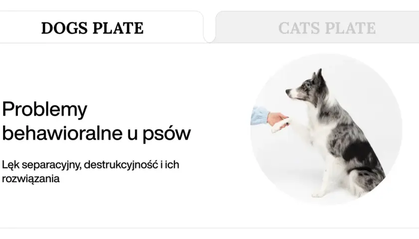 Pies rasy border collie podaje łapę, symbolizując problemy behawioralne u psów, takie jak lęk separacyjny i destrukcyjność.