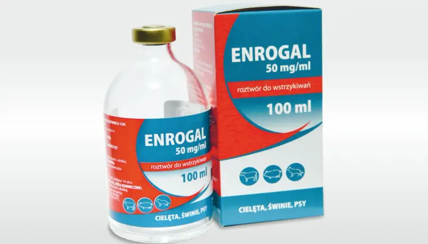 Butelka i pudełko leku ENROGAL 50 mg/ml, roztwór do wstrzykiwań 100 ml dla cieląt, świń i psów.