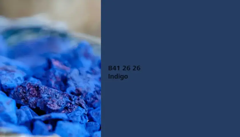 Nahaufnahme von zerstoßenem Pigment in tiefem Indigo. Die Farbe wirkt intensiv und fast samtig.