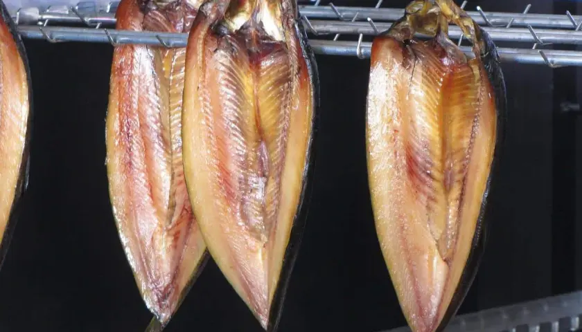 Trois poissons fumés, suspendus sur des crochets métalliques, révèlent leur chair dorée. La température de fumage à chaud est idéale pour cette cuisson.