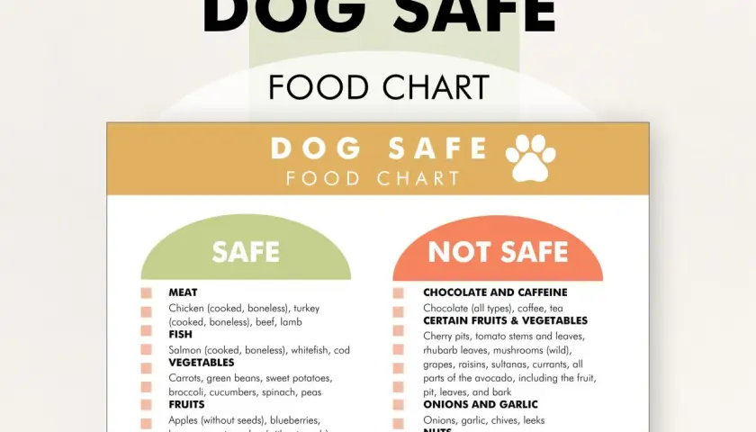 Dog food chart lists safe foods. Safe vegetables for dogs include carrots, green beans, sweet potatoes, broccoli, cucumbers, spinach, and peas.