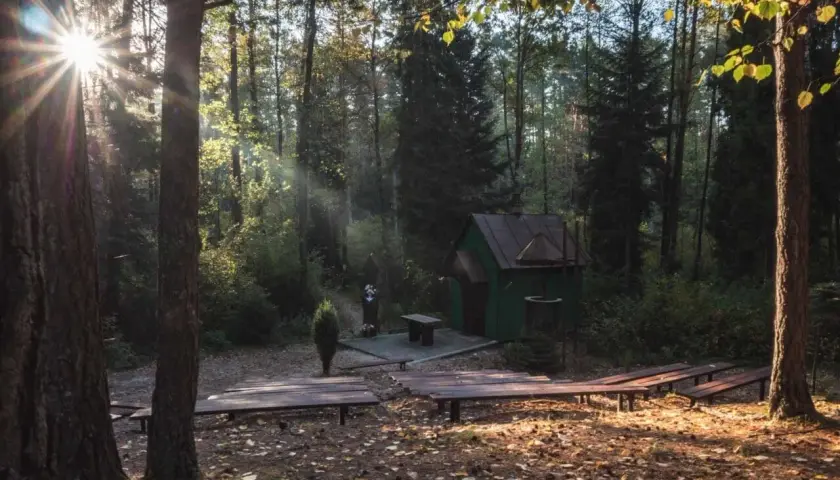 Lubelskie: Rezerwaty przyrody. Przewodnik po 97 cudach natury
