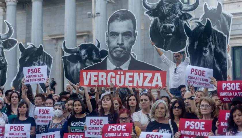 Manifestantes protestan frente al Congreso con carteles de toros y un retrato de Pedro Sánchez. "Vergüenza" y "PSOE cobarde con los poderosos" se leen en la tierra del toro.