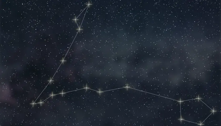 Gwiazdozbiór Ryby na tle nocnego nieba. Linie łączą jasne gwiazdy, tworząc kształt dwóch ryb.