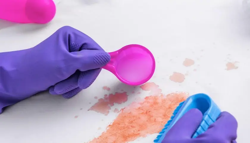 Lila Handschuhe entfernen mit Bürste und Löffel rote Flecken, vielleicht Cranberry-Flecken, von weißem Stoff.