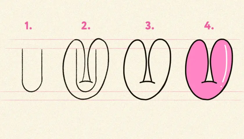 Pasos para dibujar la letra U mayúscula: un trazo vertical, luego se curvan los extremos y se añade una línea horizontal. Finalmente, se rellena de rosa.