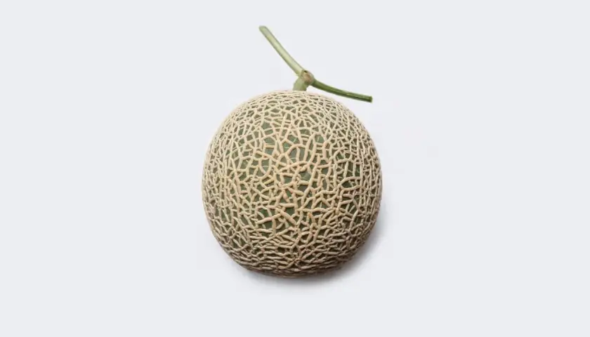 Un melon Yubari King, le fruit le plus cher du monde, avec sa peau finement texturée et sa tige verte, sur fond blanc.