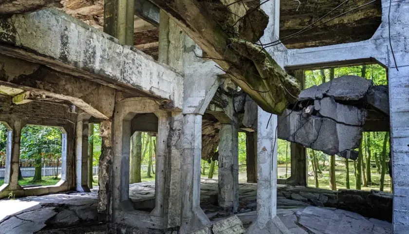 Ruiny na Westerplatte w Gdańsku. Zniszczone betonowe konstrukcje, z których wyrastają drzewa, świadczą o burzliwej historii tego miejsca.