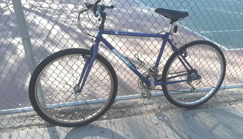 A blue Nishiki Colorado mountain bike leans against a chain-link fence, casting a shadow on the pavement.