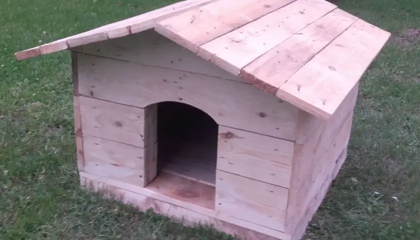 Jak zrobić budę dla psa z palet? Poradnik DIY krok po kroku