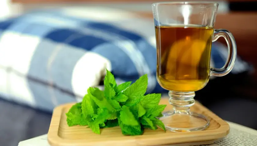 Jak zrobić herbatę z mięty: 5 prostych kroków i tajne triki