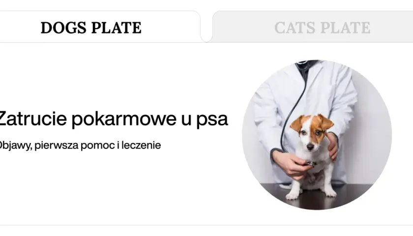 Weterynarz bada psa, który może mieć zatrucie pokarmowe. Dowiedz się, ile trwa zatrucie pokarmowe u psa i jak mu pomóc.