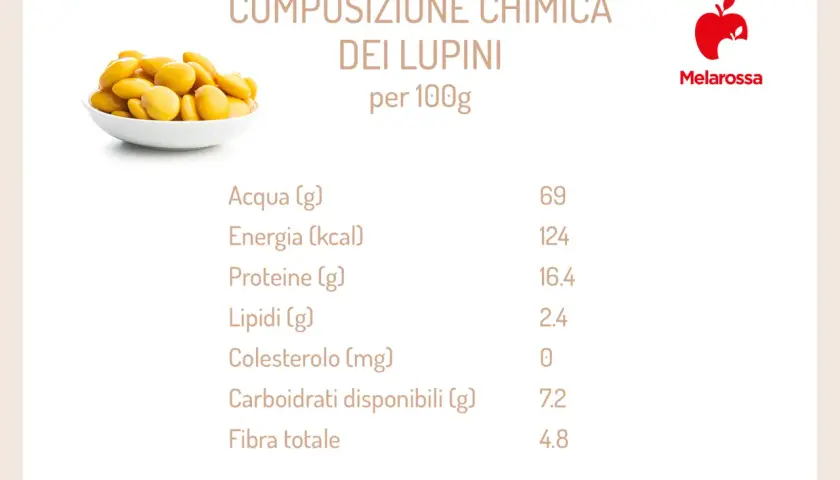 Tavola nutrizionale dei lupini di mare: 100g contengono 124 kcal, 16.4g di proteine e 4.8g di fibra.