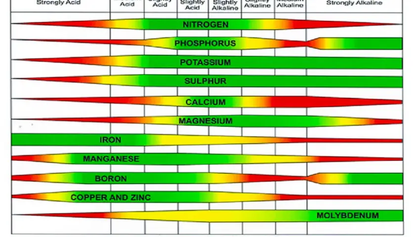 Grafico che illustra come misurare il pH del terreno e la disponibilità di nutrienti. Le barre colorate mostrano l'assorbimento di azoto, fosforo, potassio, zolfo, calcio, magnesio, ferro, manganese, boro, rame, zinco e molibdeno a diversi livelli di pH.