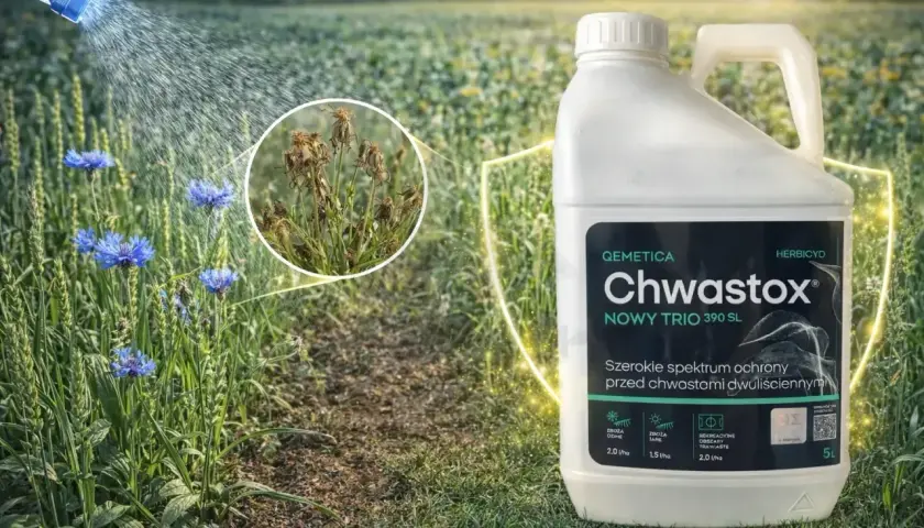 Chwastox Nowy Trio 390 SL – skuteczne zwalczanie chwastów dwuliściennych. Zobacz zalecane chwastox dawkowanie na opakowaniu.