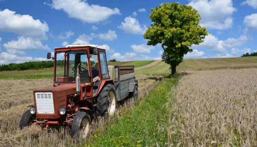 Jak zaliczyć pracę w gospodarstwie do stażu? Krok po kroku