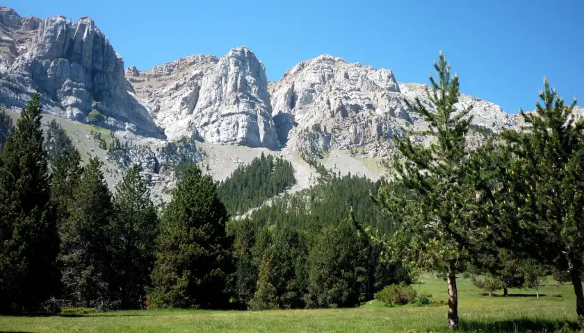 Prat de Cadi, un prado verde con pinos y majestuosas montañas rocosas de fondo bajo un cielo azul claro.