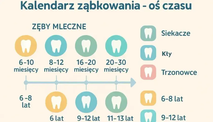 Ząbkowanie: Kiedy zęby i jak skutecznie ulżyć maluchowi?